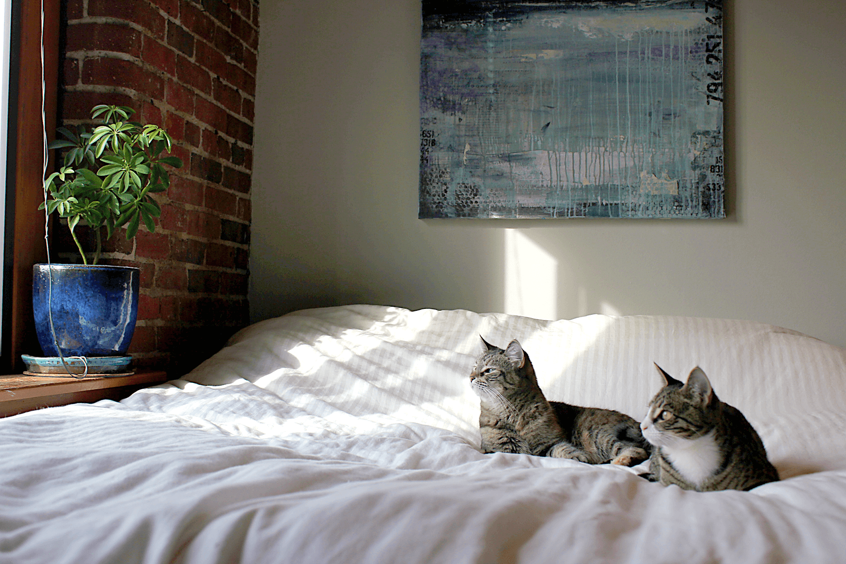 Plants that won't kill your cat, the rules for "sleepovers" in a roommate household, and more