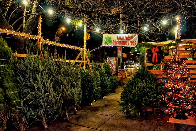 'Tis the season to brush up on NYC real estate 