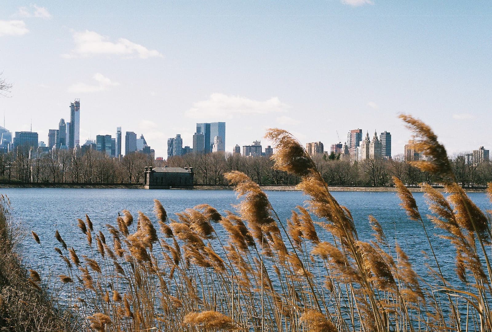 Illegal driveways in Brooklyn, what justice looks like for slumlords, & more