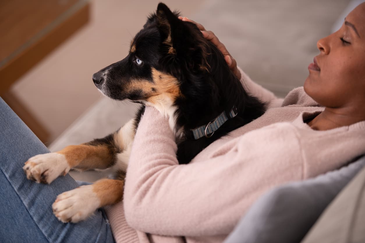 My co-op isn't pet friendly. I recently got a support animal for anxiety. How do I handle this with the board? 