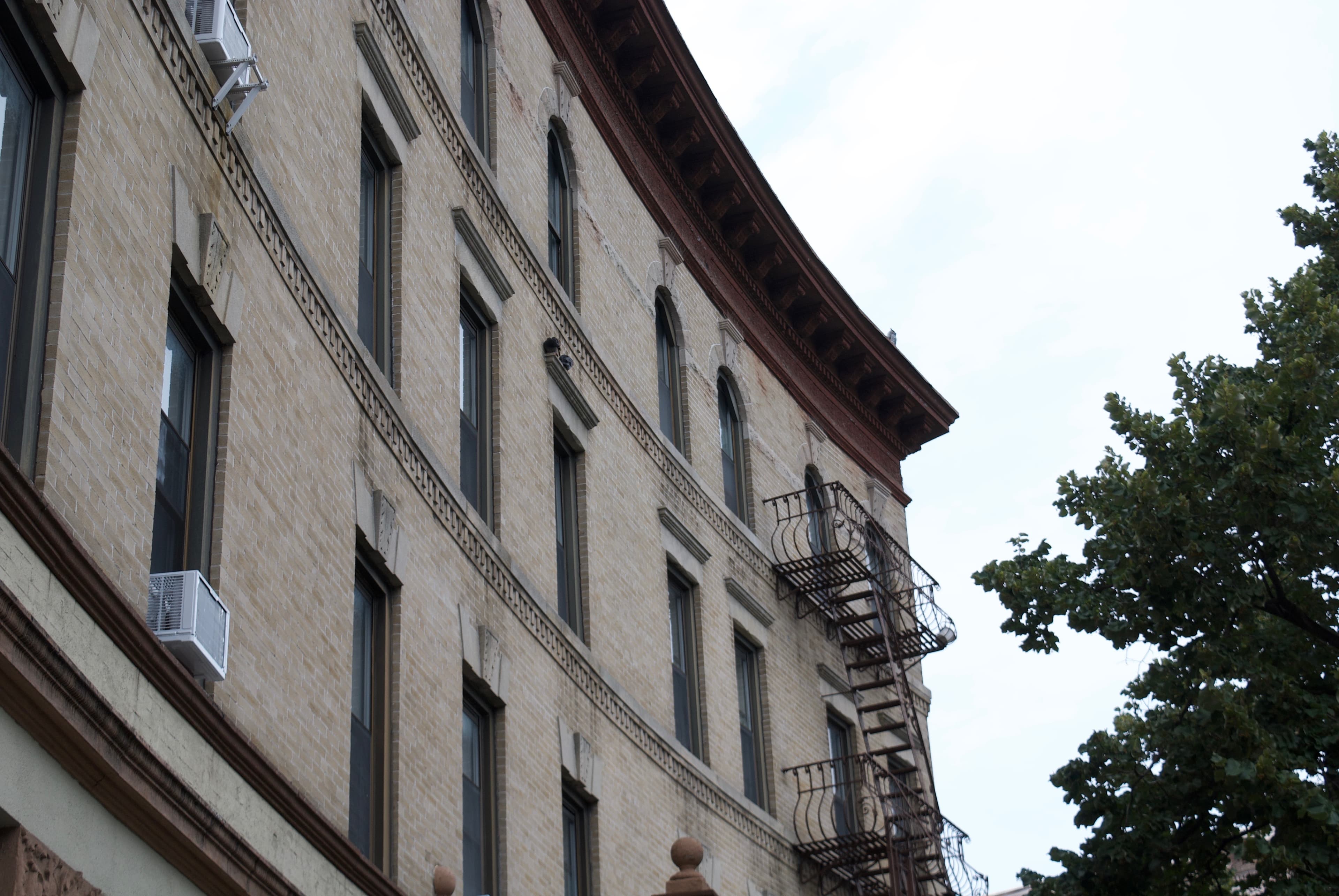 How do we get a hoarder to clean up their apartment?