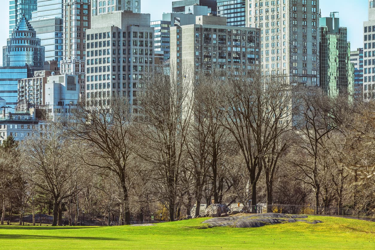 How to navigate a buyer’s market whether you're buying or selling—Brick Underground's best advice