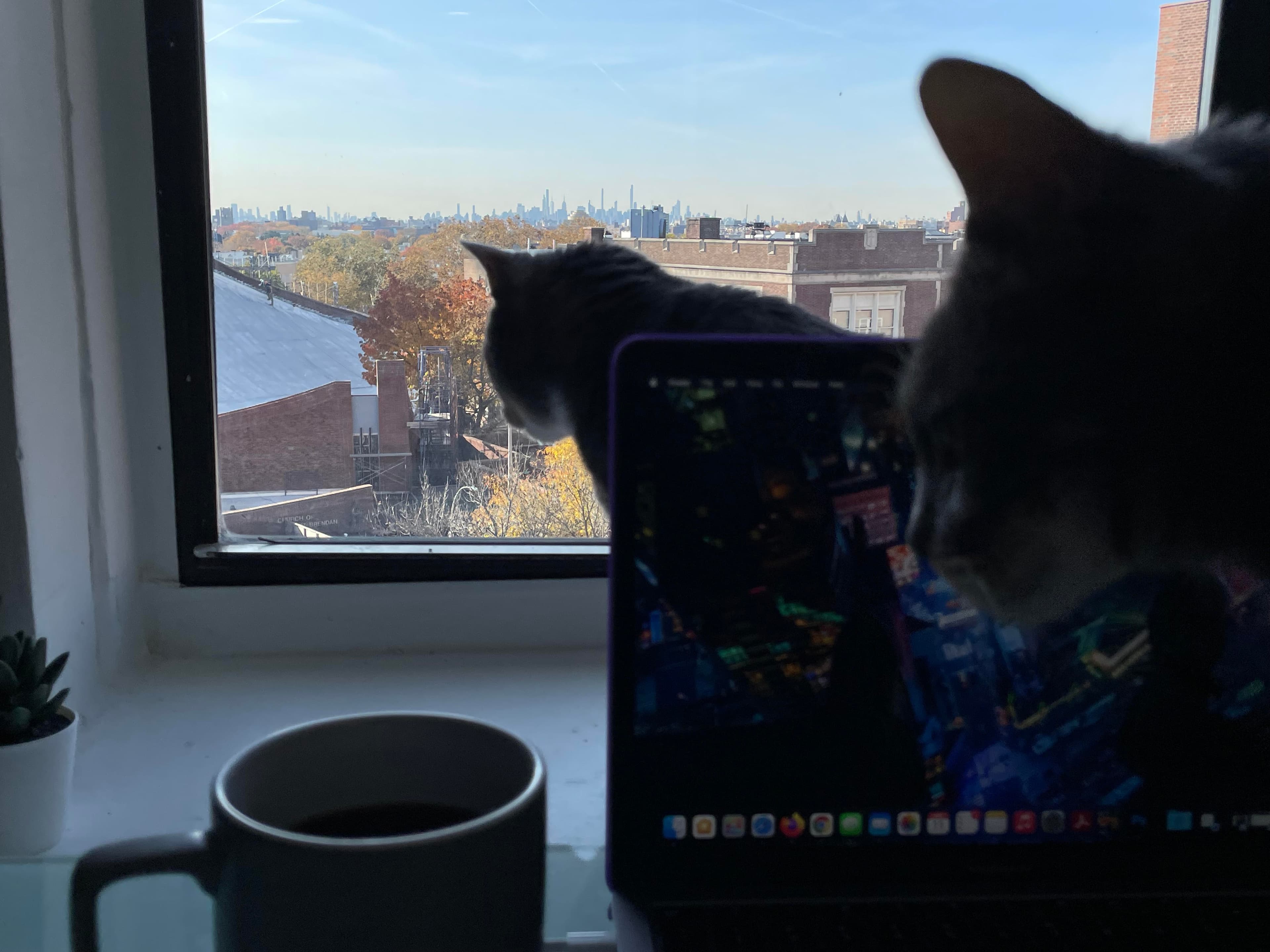 What I learned buying a co-op undergoing a major gut renovation