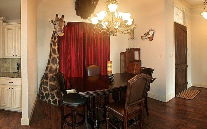 A rogue zoo animal, a real-life advent calendar, and more strange listing photos