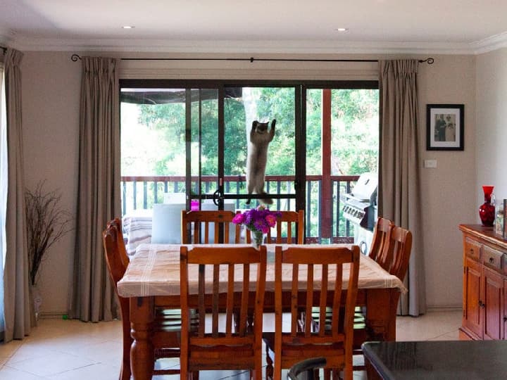 Some of these listing photos are scaring us