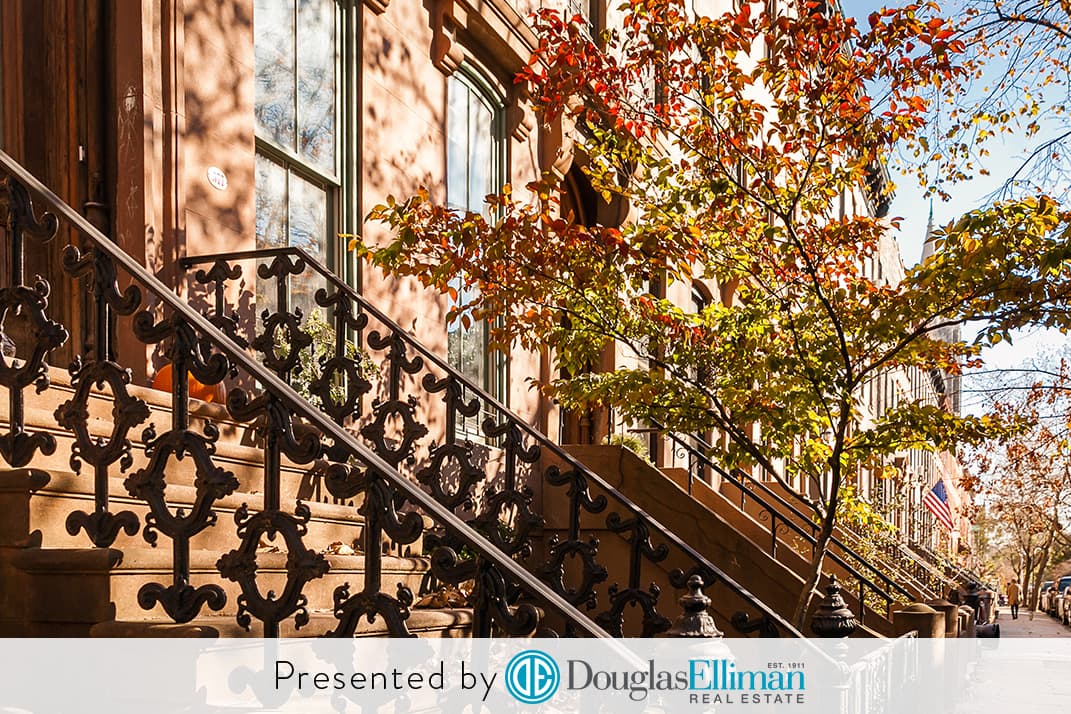 4 reasons to buy a place in Carroll Gardens as soon as you possibly can