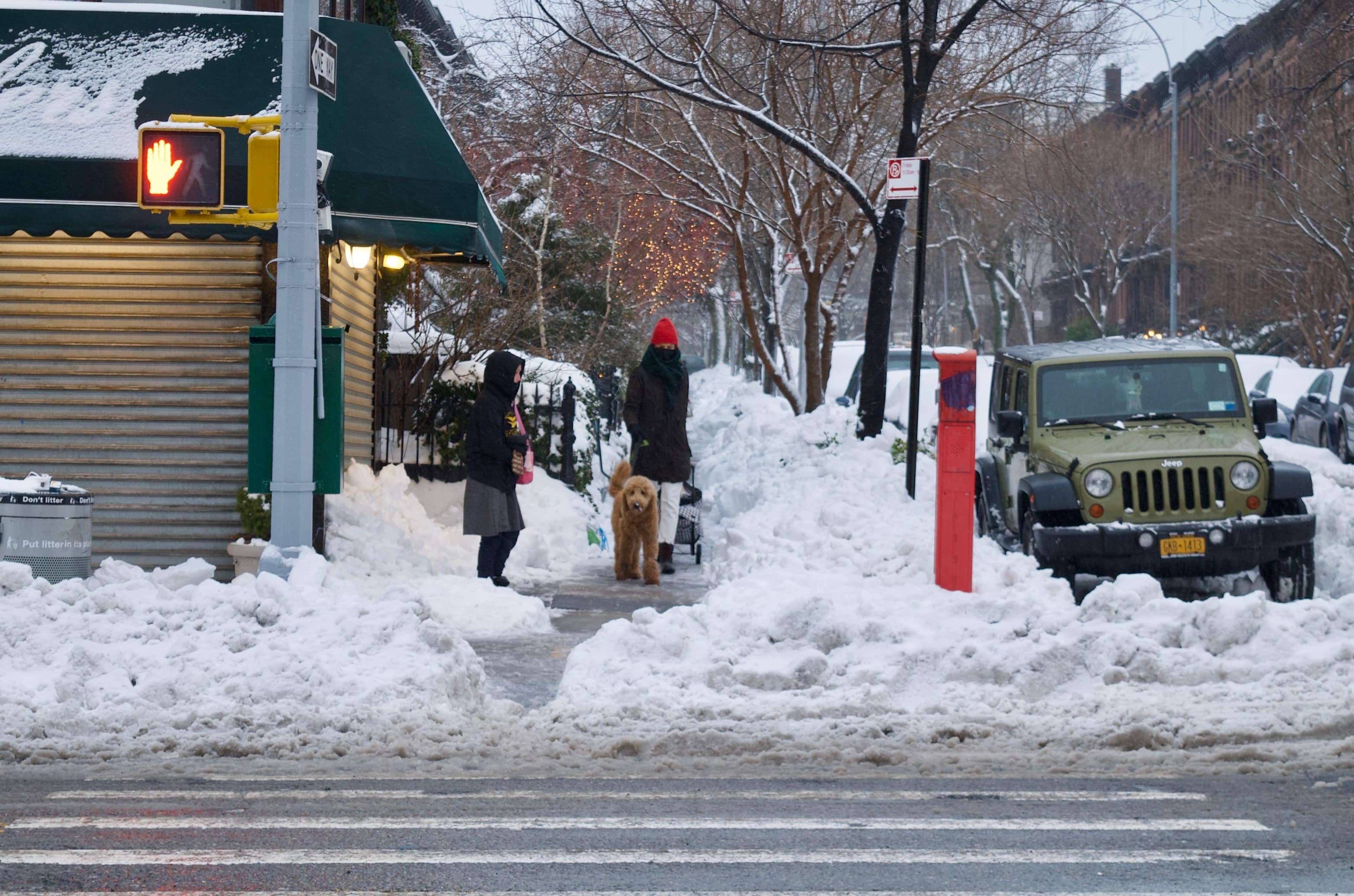 Legalizing basement dwellings, invasion of the suburbs, & more