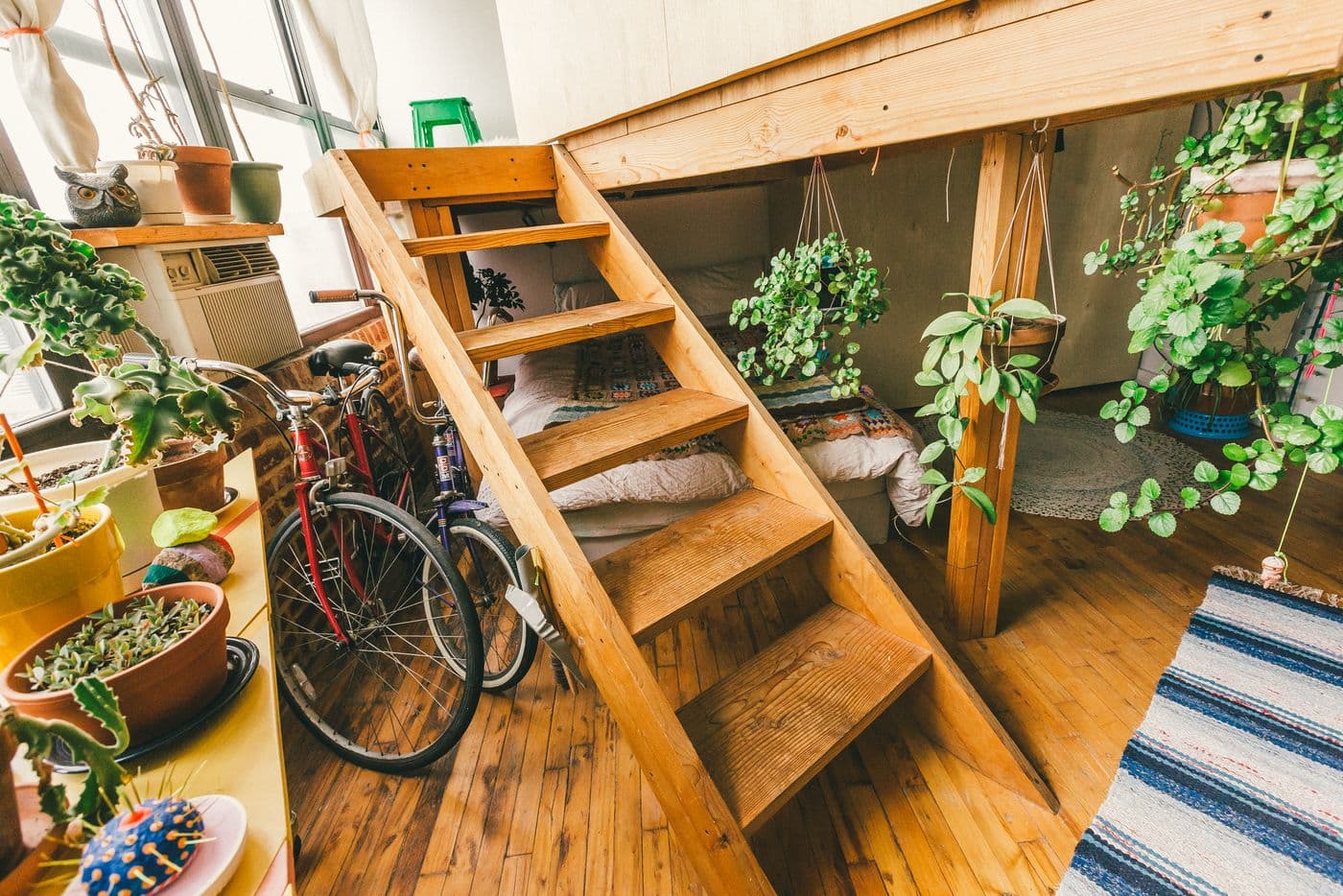 New York's sky-high living expenses, an apartment that's basically a treehouse, and more