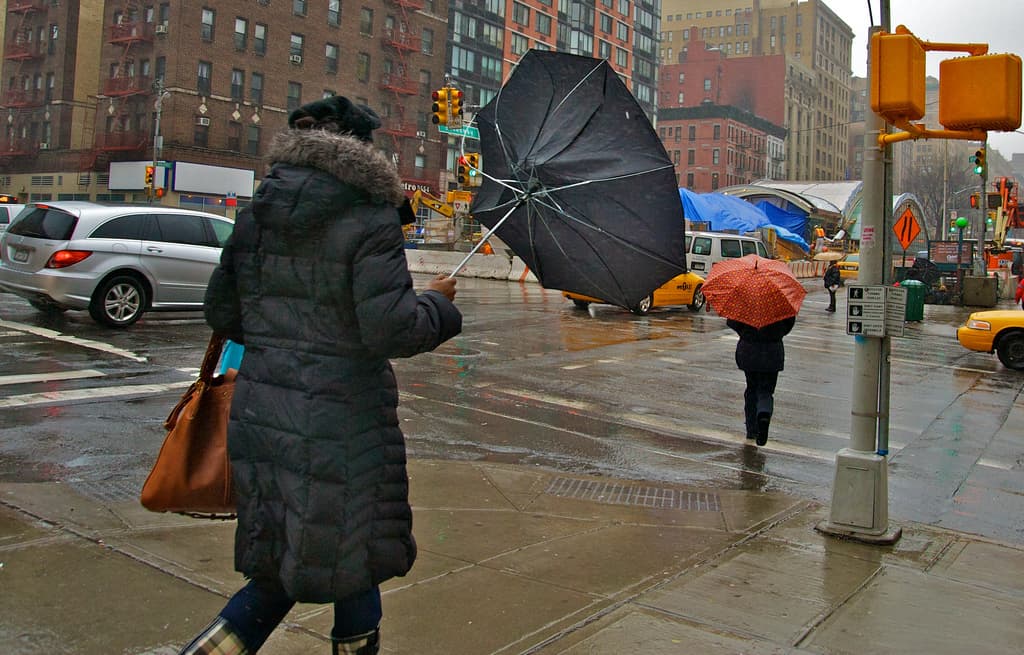 Finding love in the laundry room, pet palaces that make your place look like a doghouse, & more