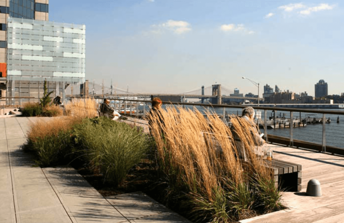 A new digital map tracks the city's privately owned public spaces