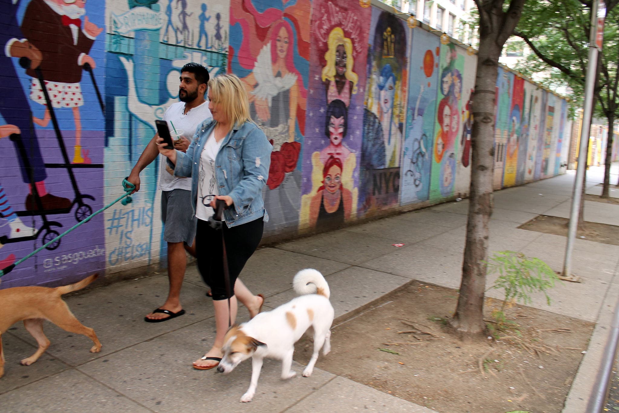 Watch your step: NYC neighborhoods with the most 311 complaints about dog excrement 