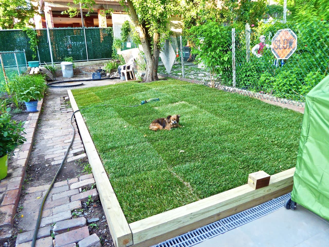 5 Steps For Installing a Lawn in Your Brownstone's Backyard