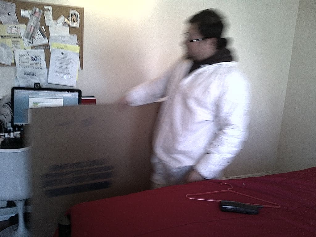 My worst nightmare becomes reality: The arrival of (real) bed bugs