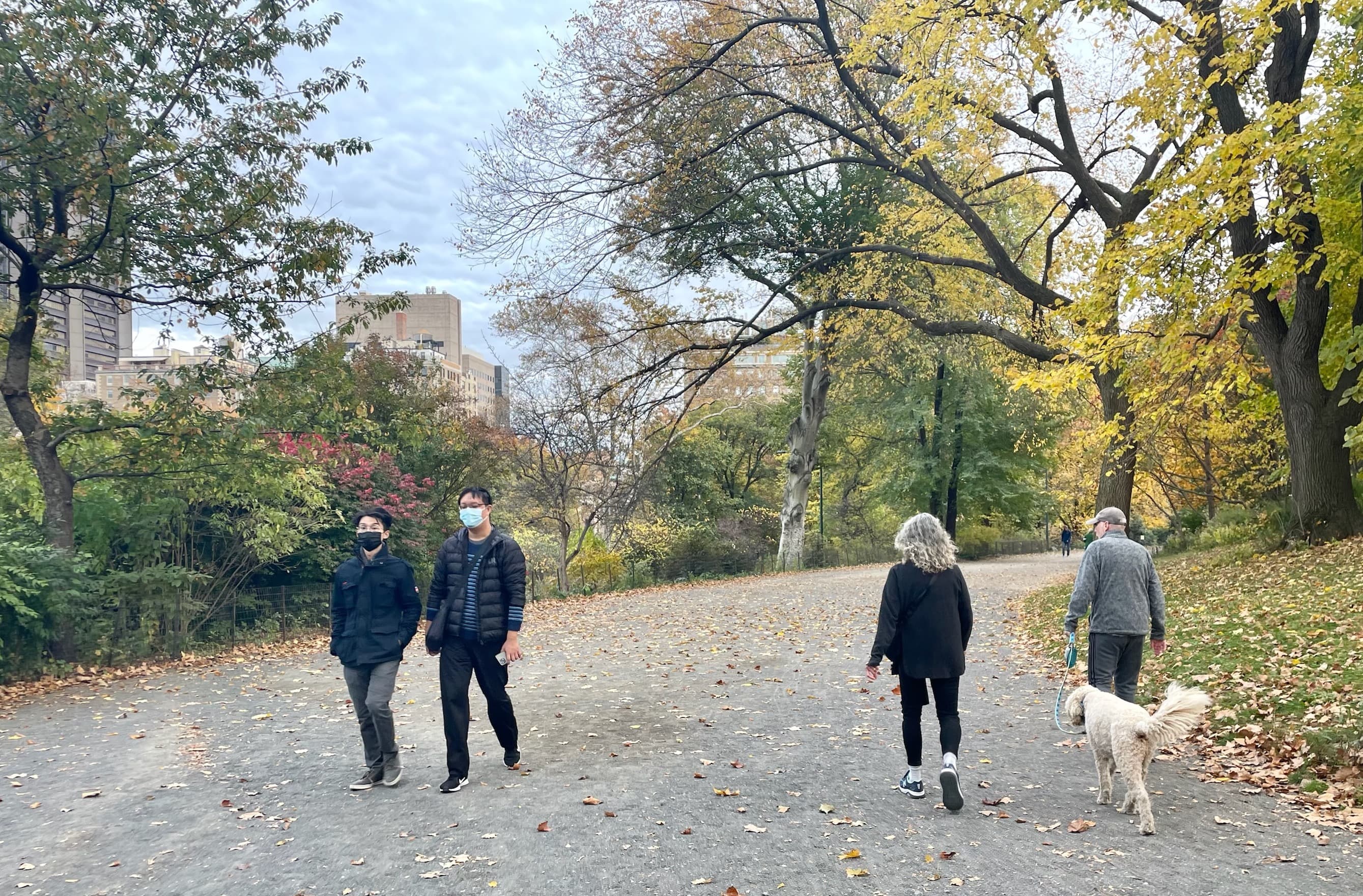 Apartment vacancy survey on hold, reimagining NYC streets, & more