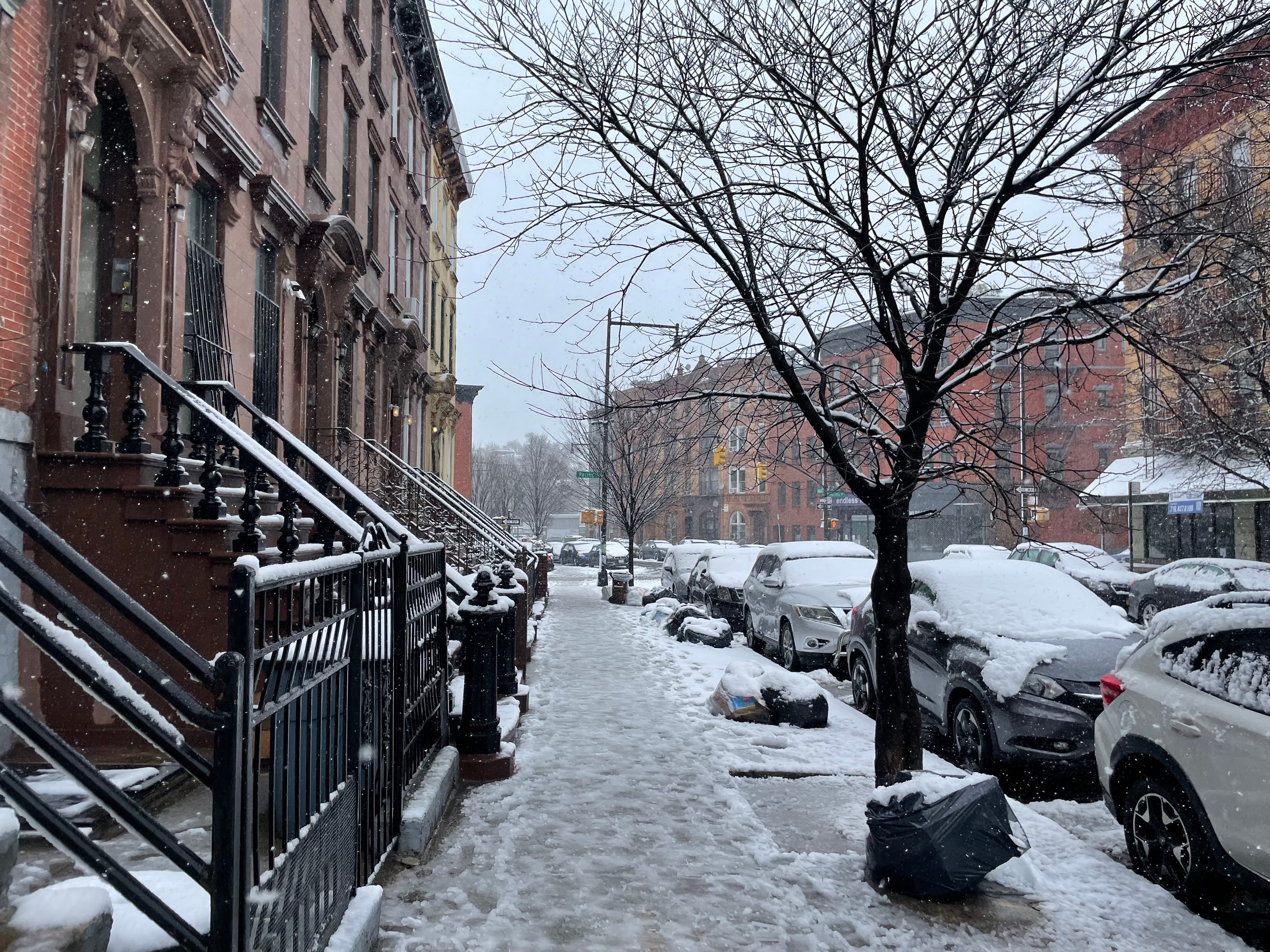 A snow-covered block in Brooklyn.