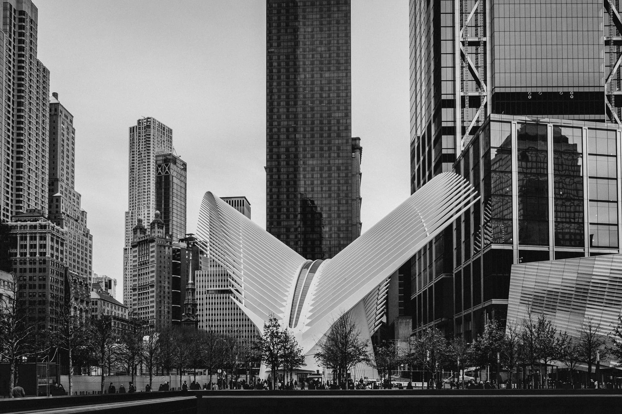 Is NYC becoming Dubai? Getting shuteye with dogs, & more