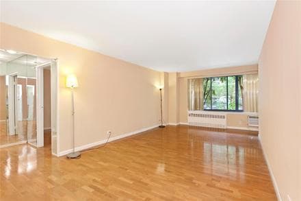 Buy Curious: Can newlyweds find a pet-friendly condo with washer-dryer near Central Park for $800,000? 