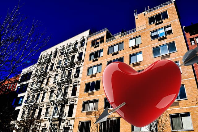 10 New Yorkers on what they adore about their apartments