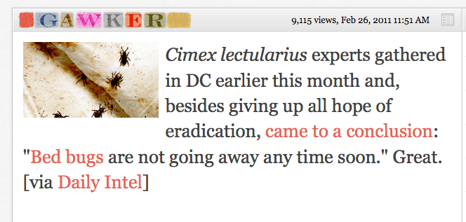 About those bed bugs on Gawker this weekend