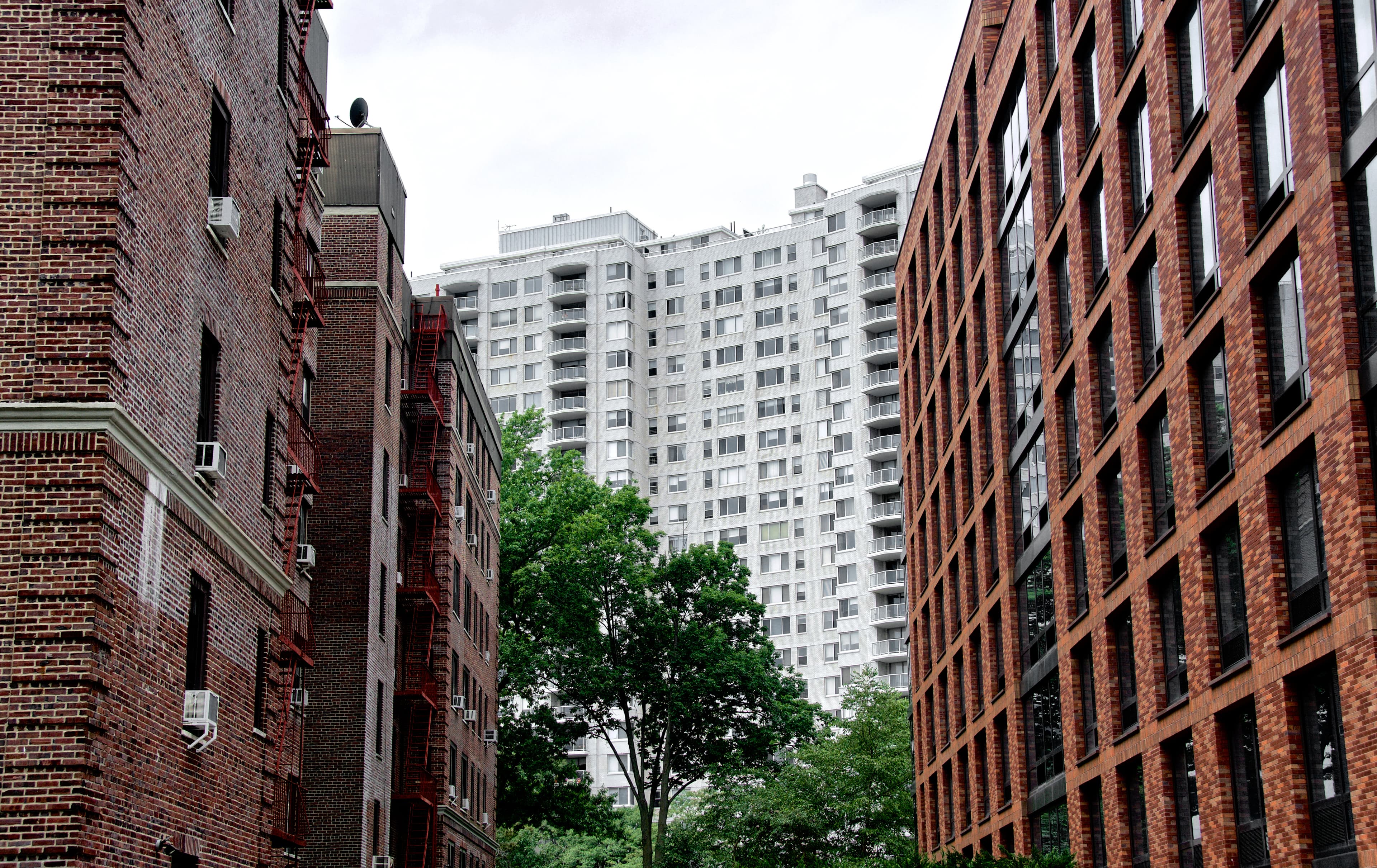 What’s a red herring notice—and why the strange name?