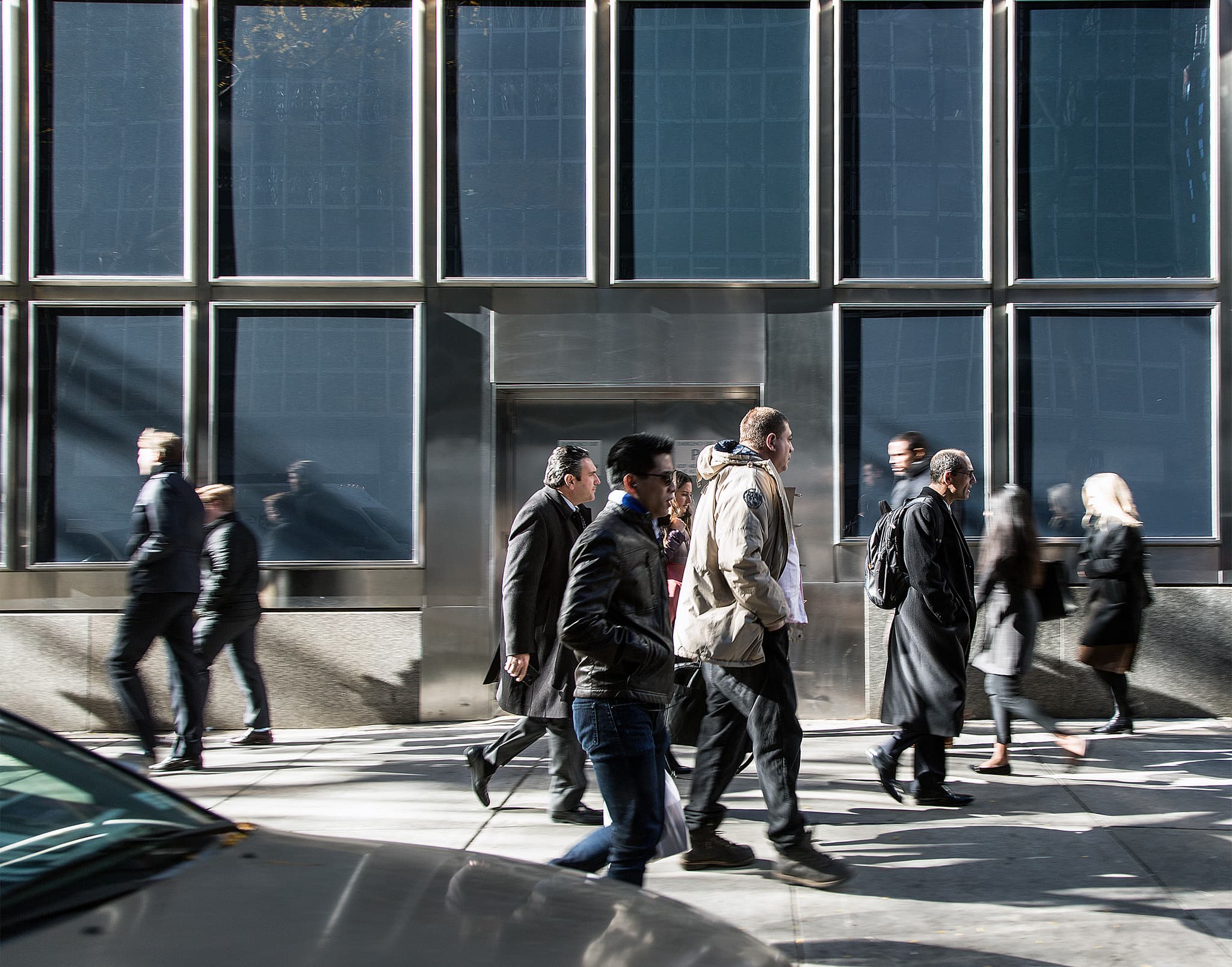 Sales slump across the metro area, working cats make better mousers, & more