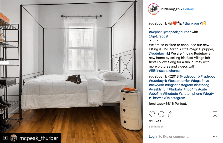 Not using Instagram to sell your apartment? #youprobablyshouldbe