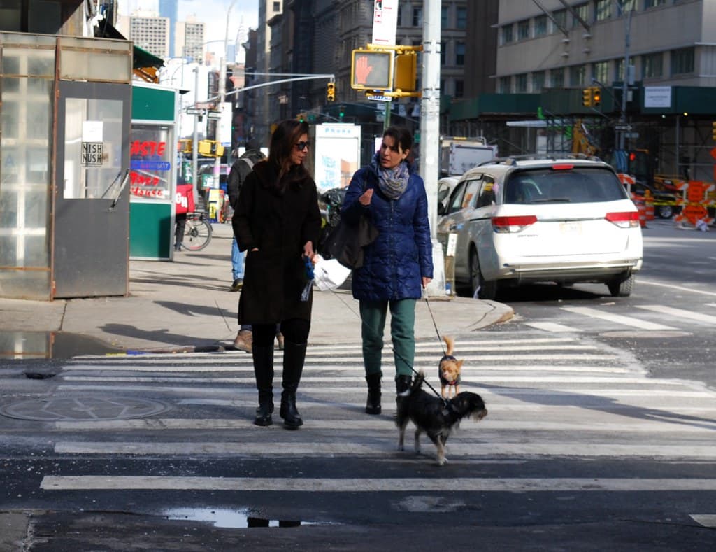 Another lawsuit challenges the new rent laws, MTA responds to hate crimes, & more