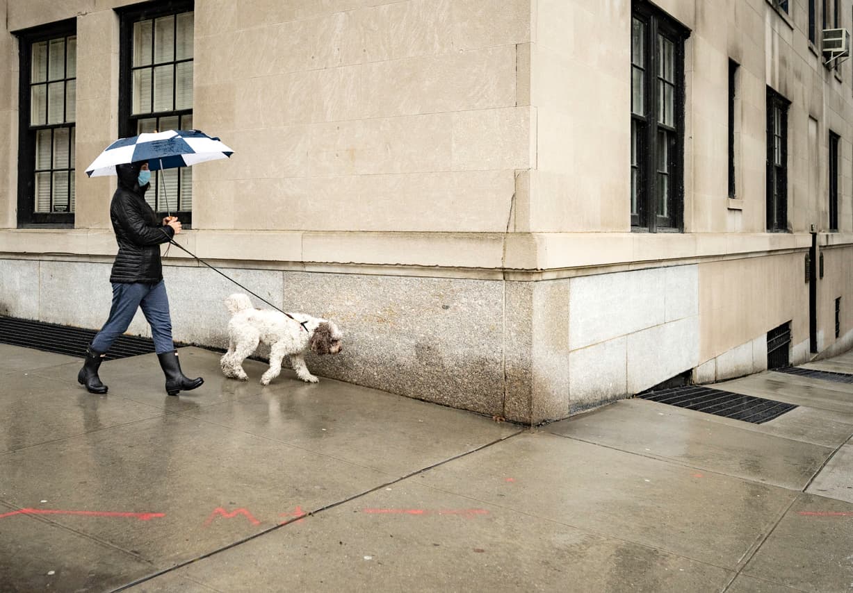 Landlords hit with class actions, new co-living flagship in Crown Heights, & more