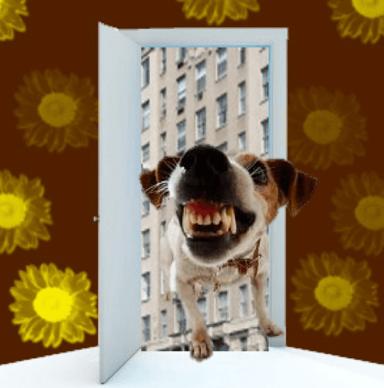 About that barking dog in your building....