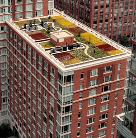Green roofs for dummies