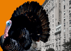 New York City vertical dwellers have lots to be thankful for (though we don't always know it)