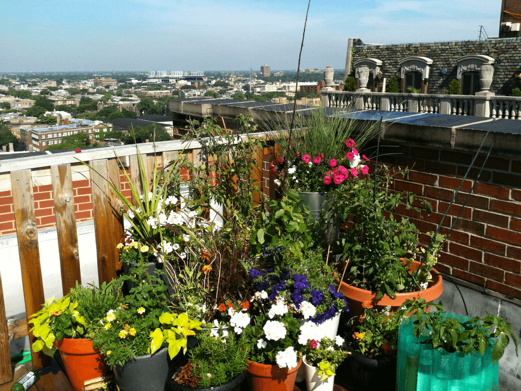 Upgrade your co-op's green space with a rooftop garden