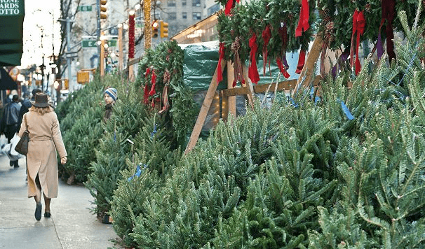 For the lazy but festive: get your Christmas tree delivered this weekend