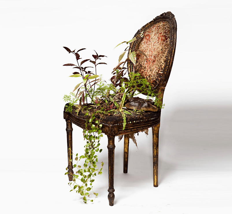 Turn your spare chair into a planter with a strange—but simple!—DIY