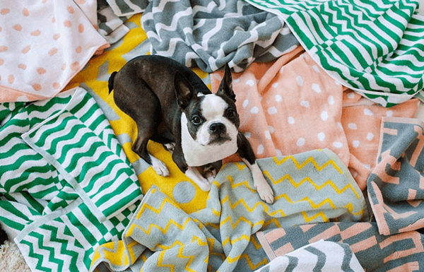 Brooklyn-designed home goods, a studio on a "secret" Upper West Side street, and more