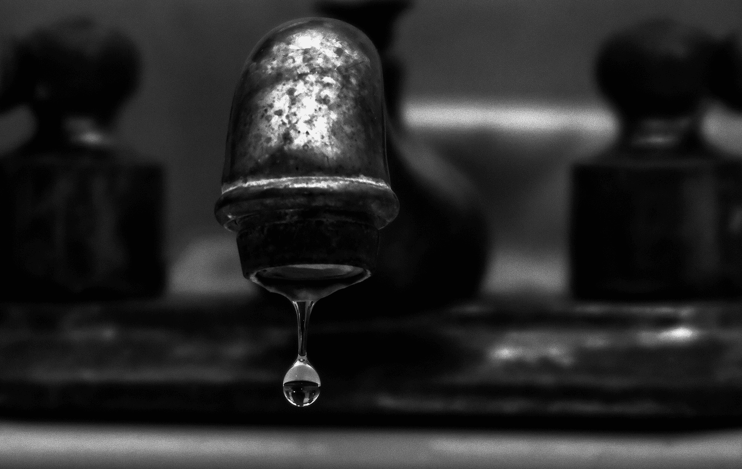 Are you wasting less water than your neighbors? This survey lets you know