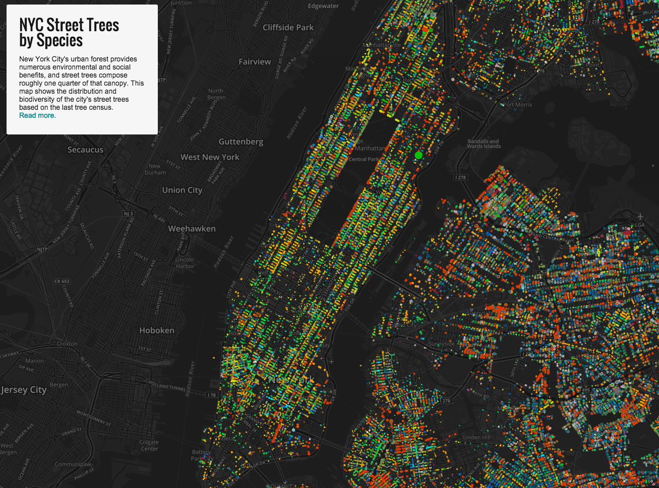 Map: These are the trees in your neighborhood