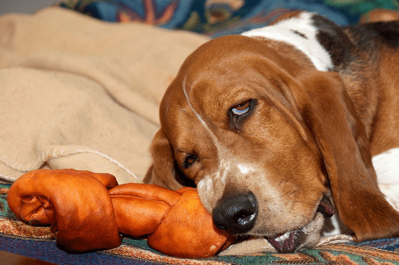 A dogfight in a Queens co-op, furnishing your first apartment, and more