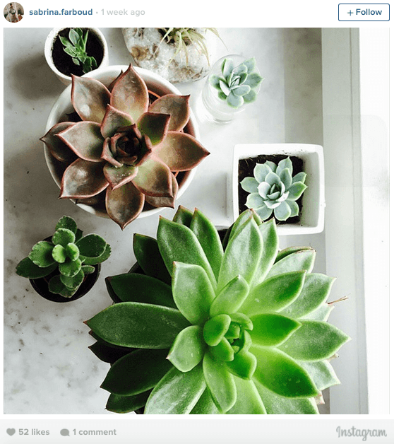 The priciest blocks in the city, indoor garden inspiration, and more