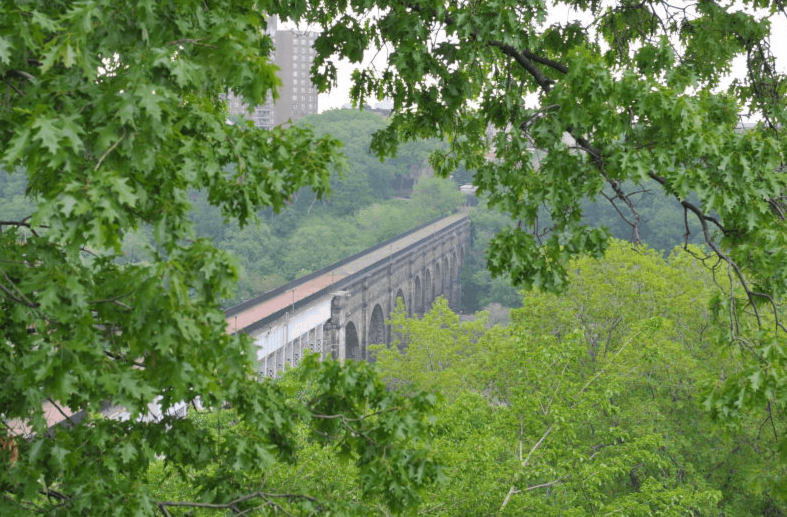 Inevitably, NYC itself has had to see a shrink