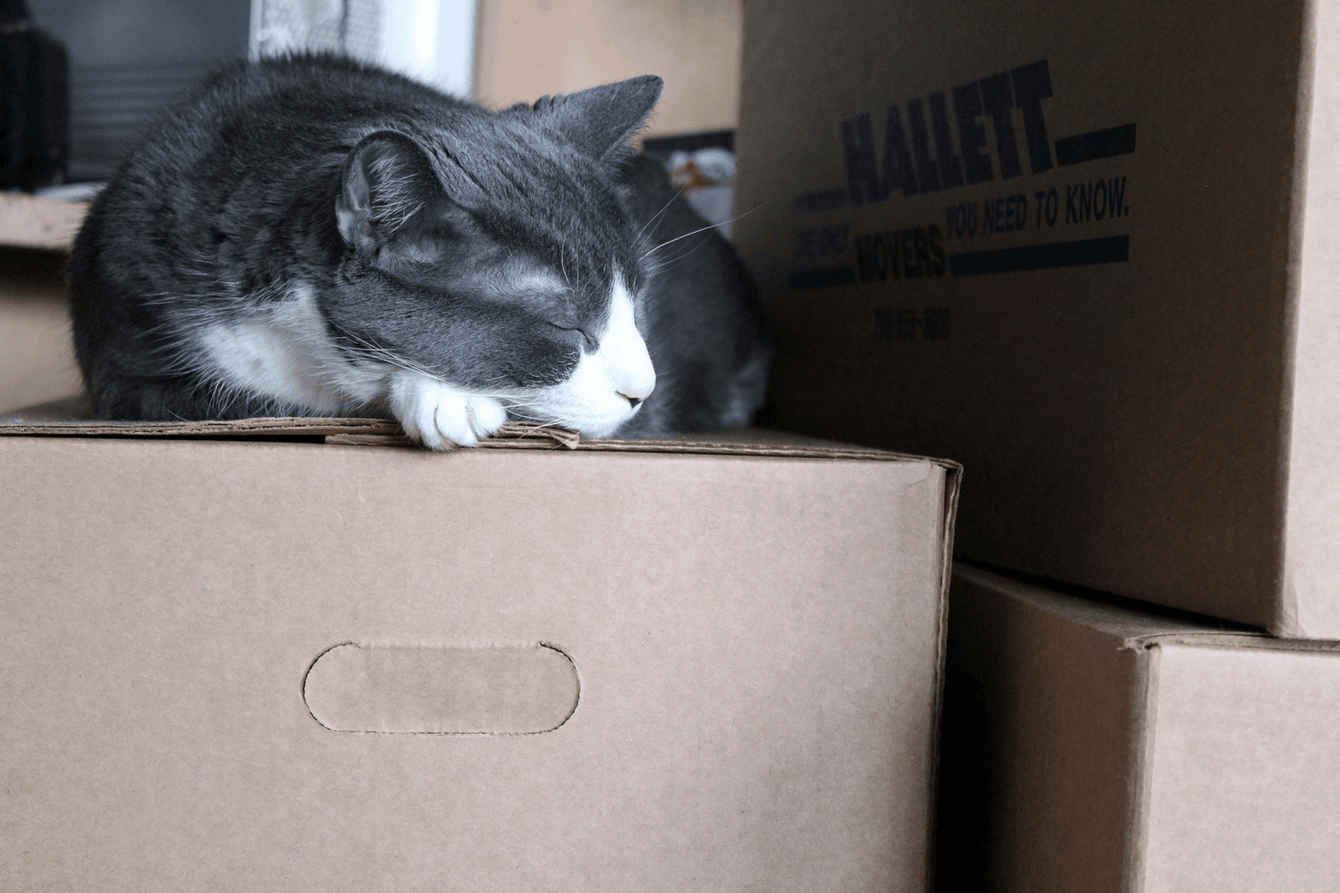 Where are New Yorkers moving to, and why? WNYC finds out