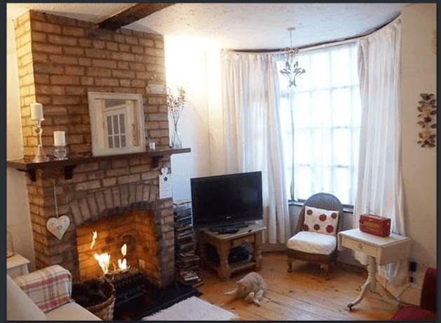 A cat with bad manners, an absolute pigsty, and more awful listing photos