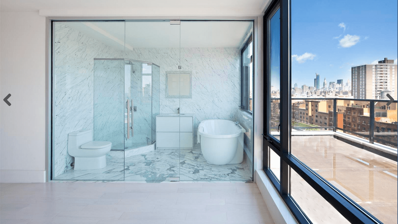 An East Village penthouse that's exhibitionist-friendly 