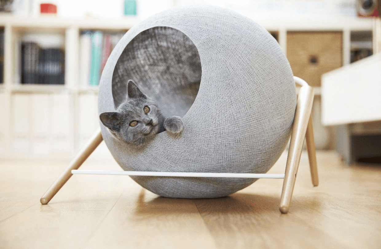 Stylish pet beds that will look good in your New York City apartment