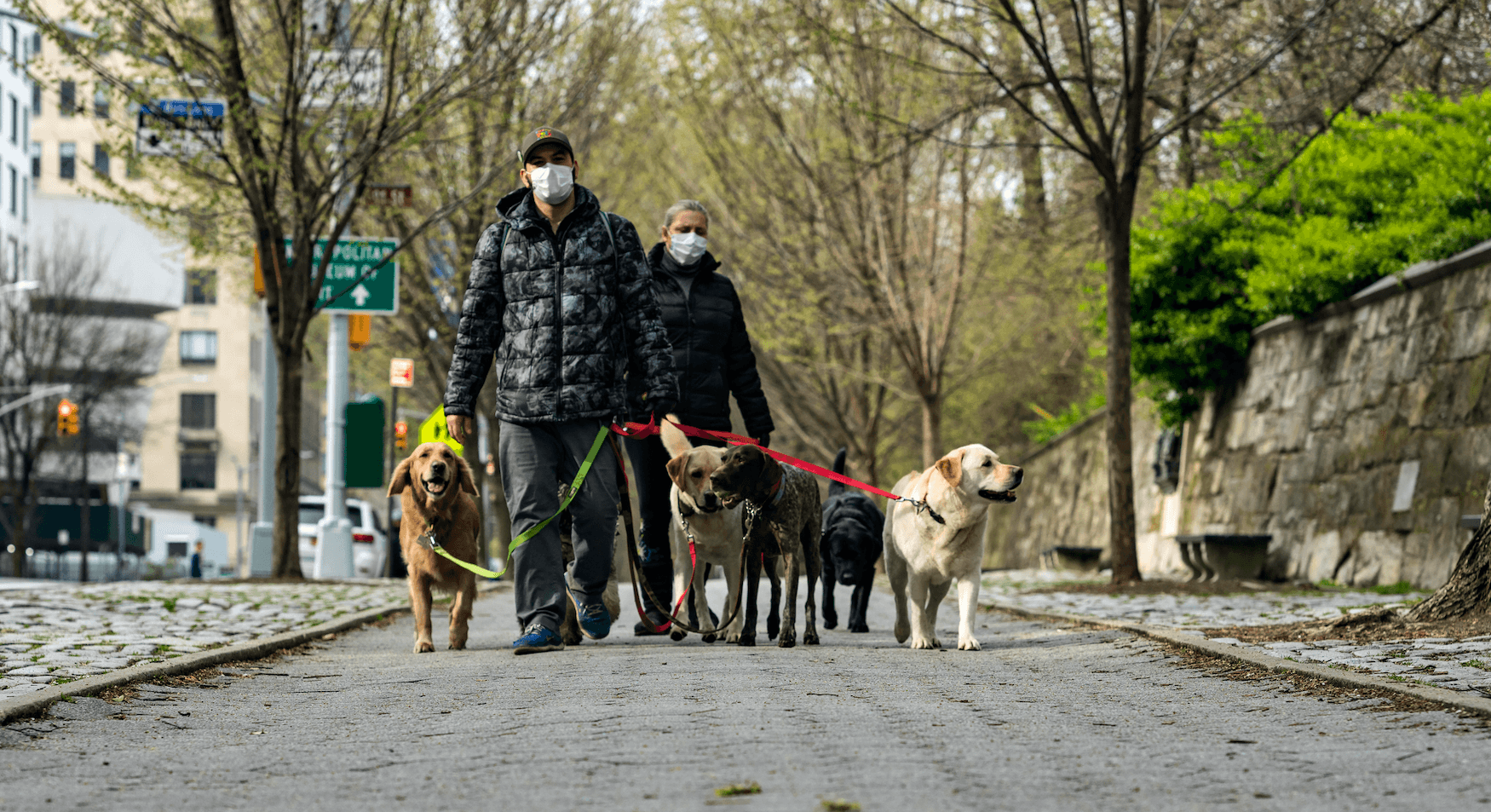 Having pets in New York City—Brick Underground’s best advice