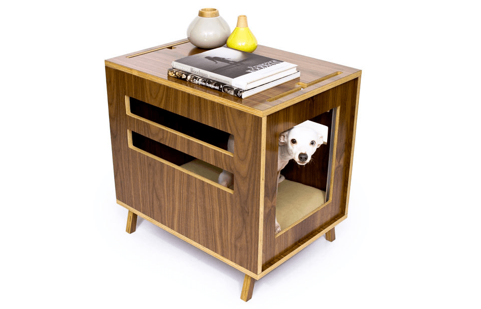 Stylish homes for your pet, mosquito-prevention tips, and more