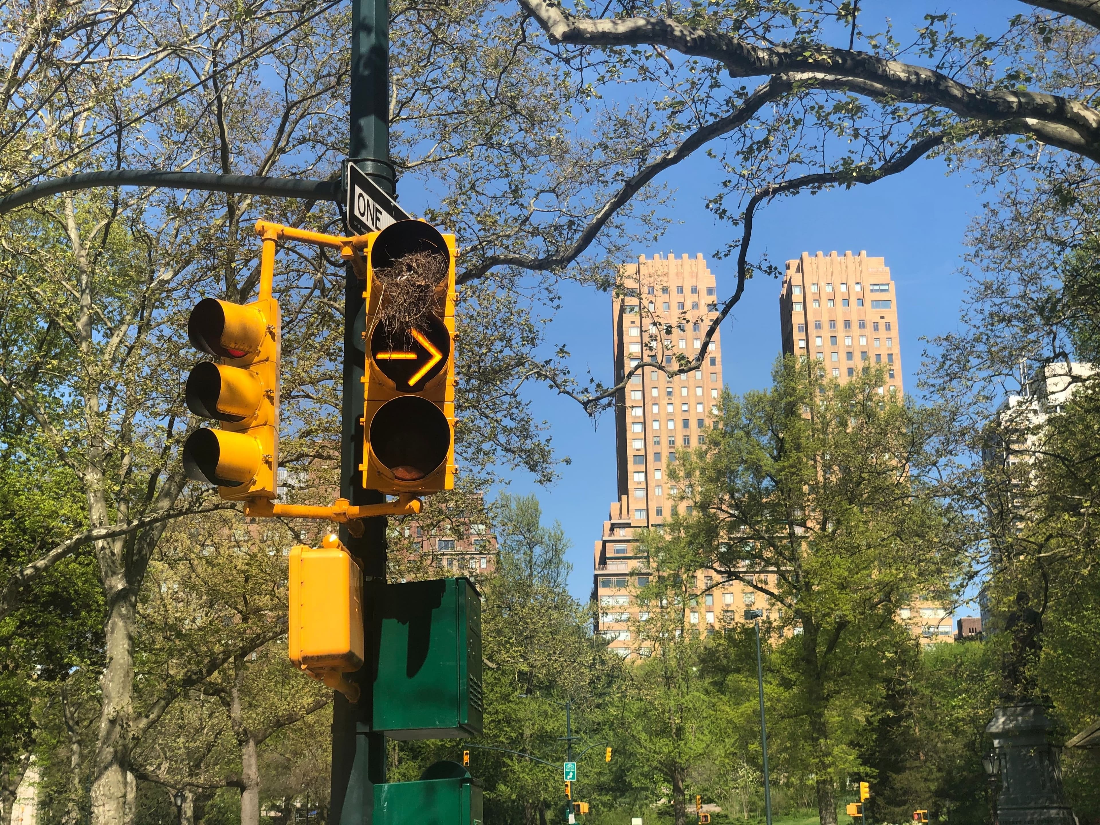 Senator wants $100 billion for national rent relief, Brooklyn pier used as a morgue, & more