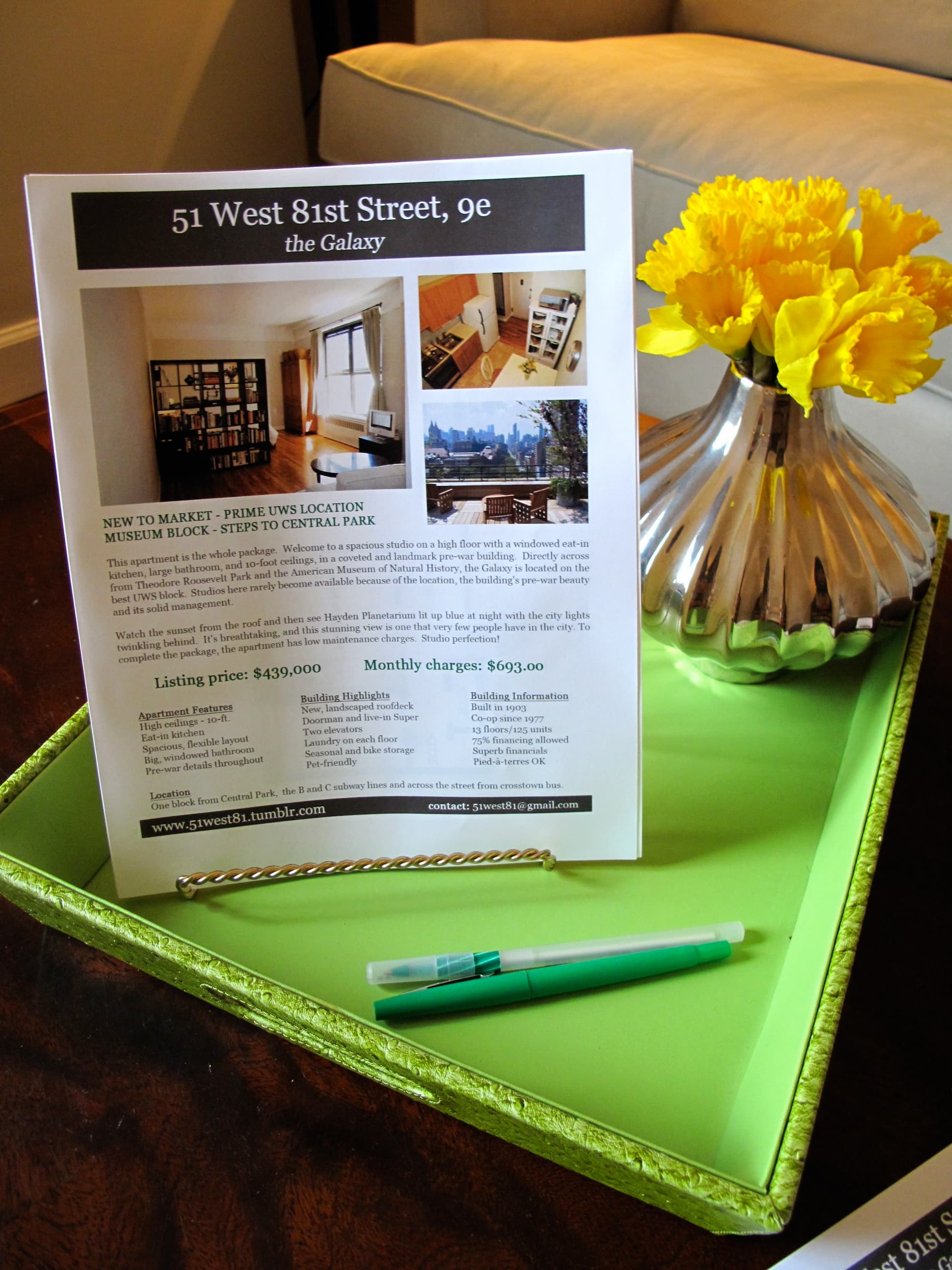 The FSBO Diaries.jpg