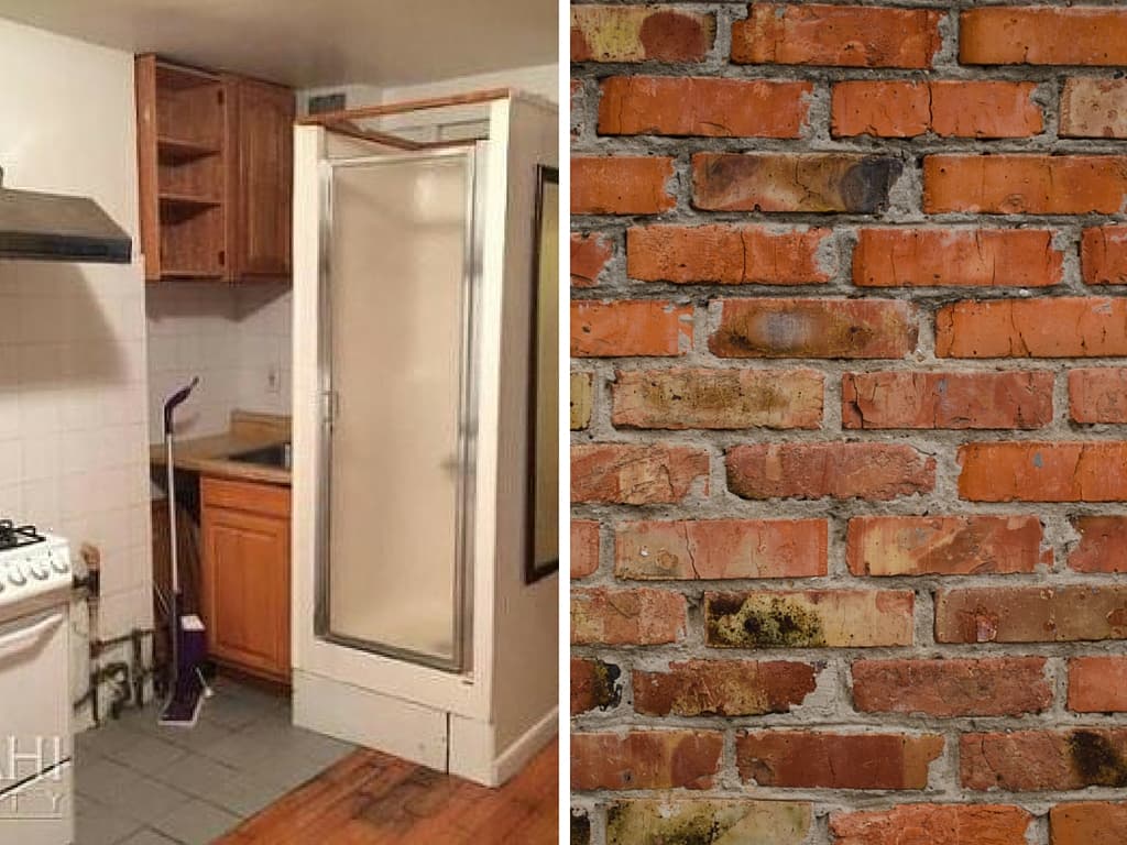 Which is the lesser of two NYC evils: A shower in the kitchen or view of a brick wall?