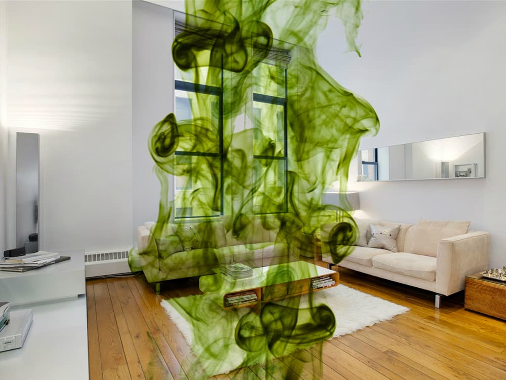 How to keep your apartment stink-free in the smelliest time of year